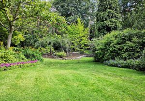 Optimiser l'expérience du jardin à Malaincourt-sur-Meuse